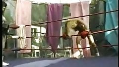 Boxing Turns Wrestling