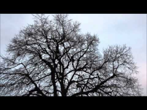 Anne and Bill (Catfight) – Hefner