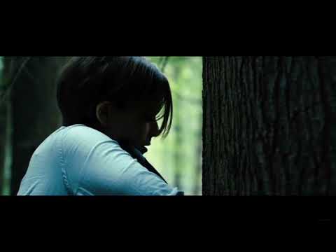 WJES62 CATFIGHT 237  Forever In Love