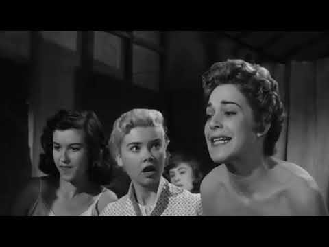 WJES62 CATFIGHT 273 THUNDER (Imagine Dragons) 1pm