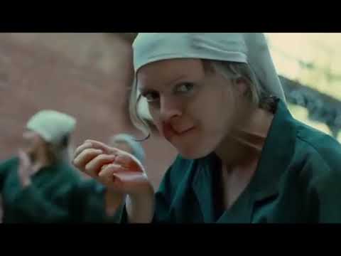 WJES62 CATFIGHT 317 Assassins Run 1pm