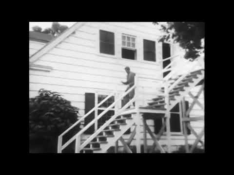 WJES62 CATFIGHT 445 LIPA 11:15pm