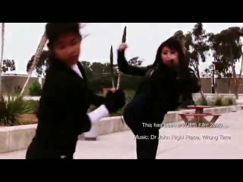 WJES62  Catfight 56a  Right place, wrong time  11:43am